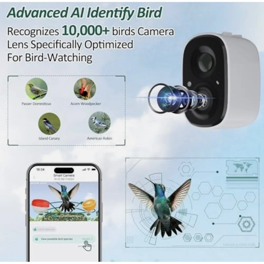 Verge Girl smart bird